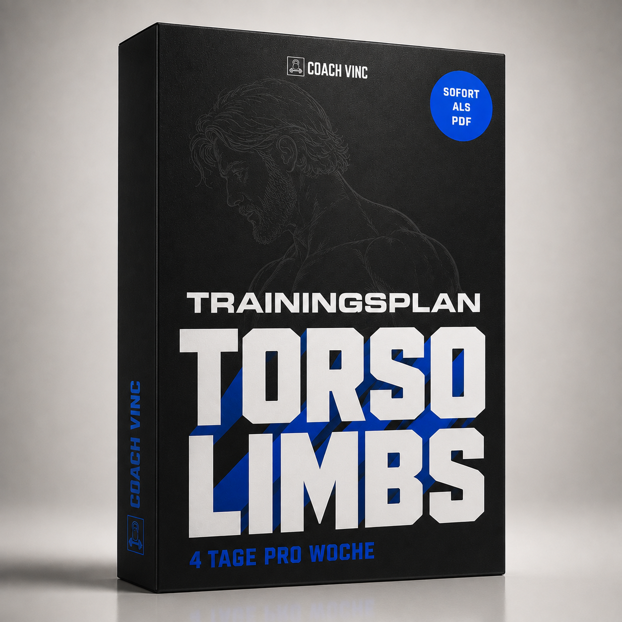 Torso/Limbs