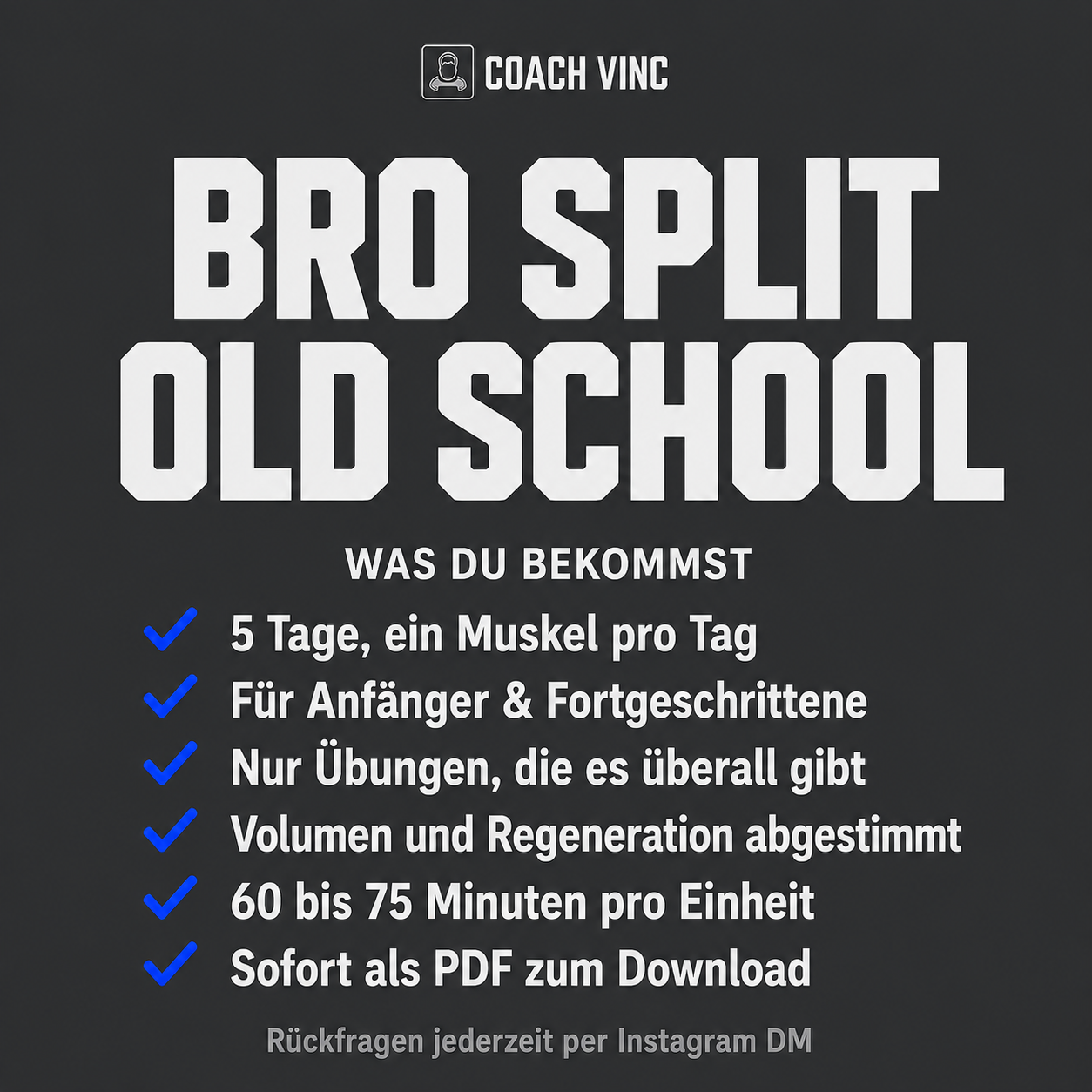 Bro Split Old School