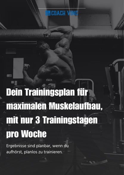 PROGRESSION SYSTEM BY COACHVINC